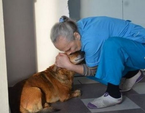 Foto - Bu köpek sadakatiyle görenleri şaşırtıyor