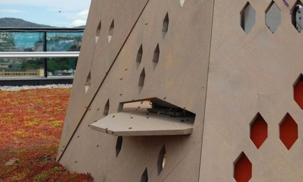 Foto - Bu köprülerden insan geçmiyor!