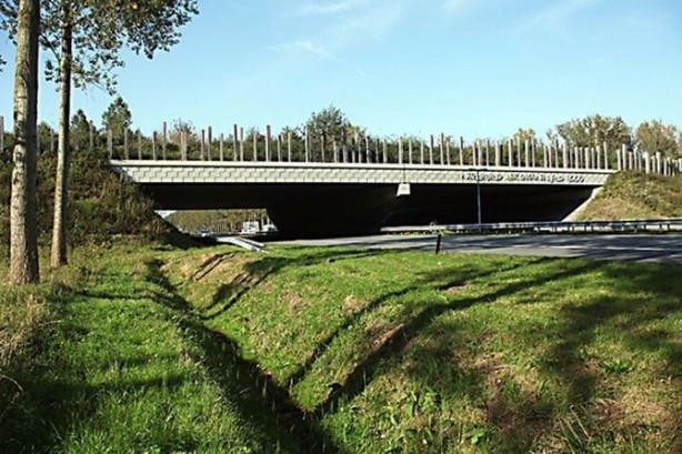 Foto - Bu köprülerden insan geçmiyor!