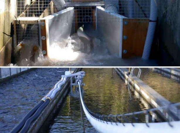 Foto - Bu köprülerin bilinenden farklı bir kullanım amacı var!