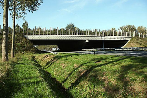 Foto - Bu köprülerin bilinenden farklı bir kullanım amacı var!