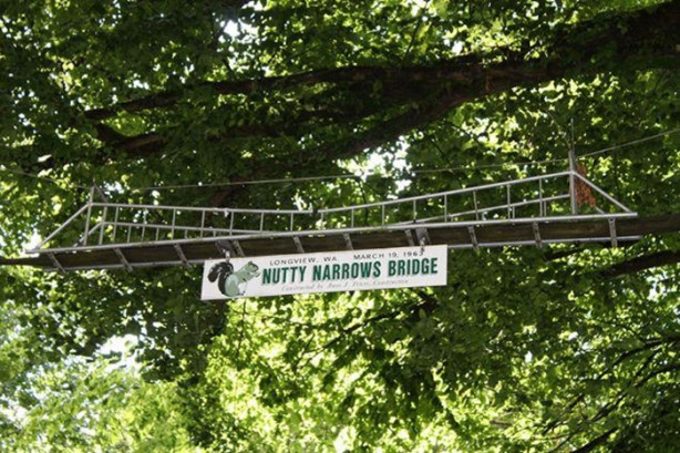 Foto - Bu köprülerin bilinenden farklı bir kullanım amacı var!