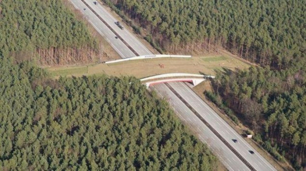 Foto - Bu köprülerin bilinenden farklı bir kullanım amacı var!