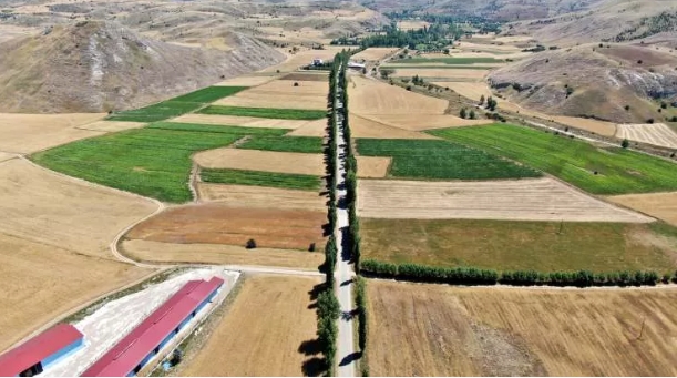 Foto - Bu koridora giren bir daha çıkamıyor