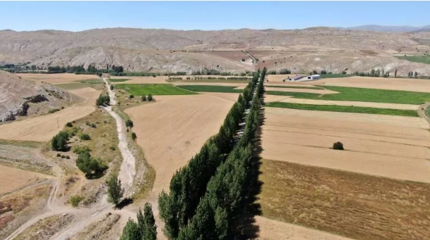 Foto - Bu koridora giren bir daha çıkamıyor
