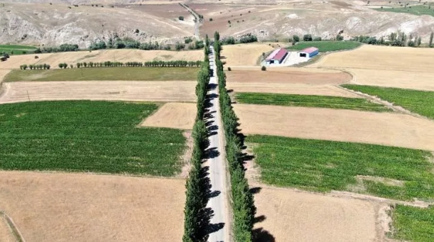 Bu koridora giren bir daha çıkamıyor