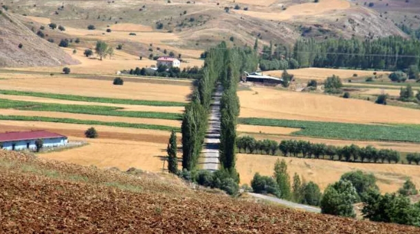 Foto - Bu koridora giren bir daha çıkamıyor