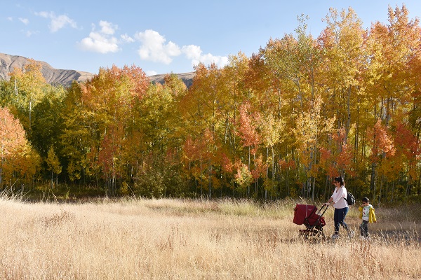 Foto - Bu köy sonbaharda başka güzel