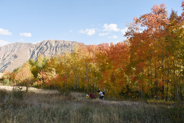 Foto - Bu köy sonbaharda başka güzel