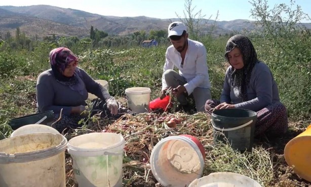 Foto - Bu köydekiler paraya para demiyor! Sadece orada var