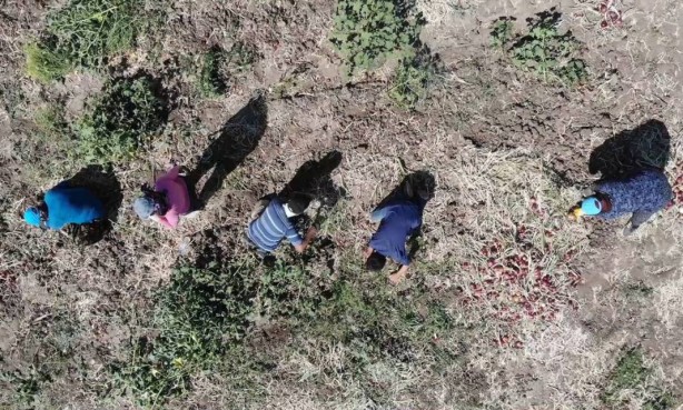 Foto - Bu köydekiler paraya para demiyor! Sadece orada var