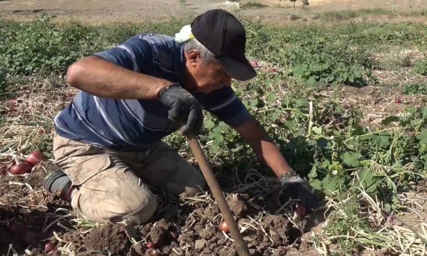 Foto - Bu köydekiler paraya para demiyor! Sadece orada var