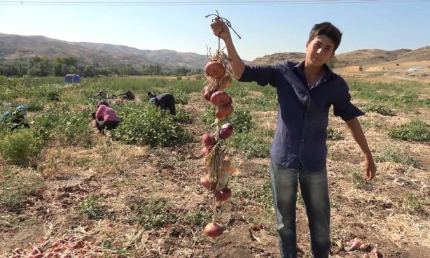 Foto - Bu köydekiler paraya para demiyor! Sadece orada var