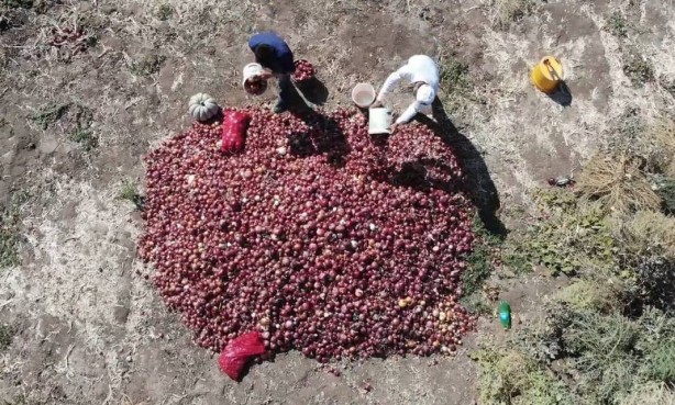 Foto - Bu köydekiler paraya para demiyor! Sadece orada var
