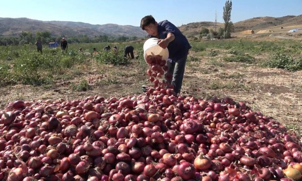 Foto - Bu köydekiler paraya para demiyor! Sadece orada var