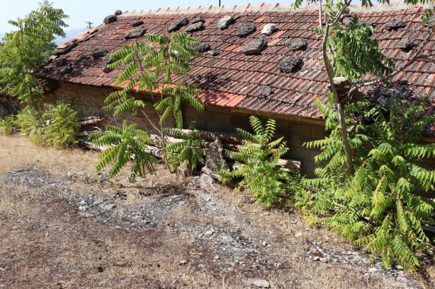 Foto - Bu köye taş yağıyor! Herkes çok tedirgin