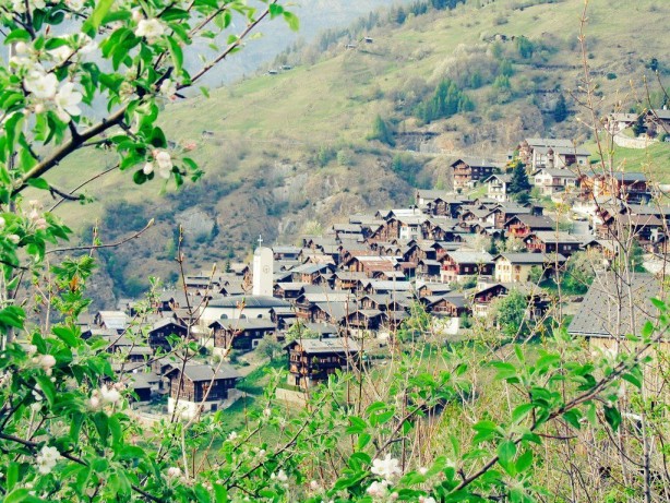 Bu köye yerleşene bir çuval dolusu para verilecek! Taşınan zengin olacak