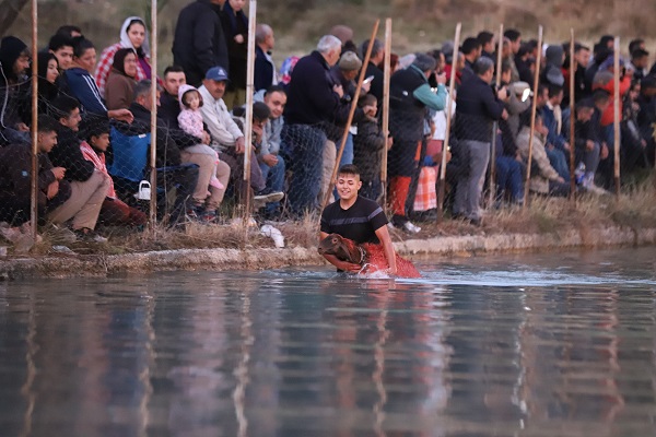 Foto - Bu koyunlar bakın neden boyanıyor! 7 asırlık gelenek sürdürülüyor