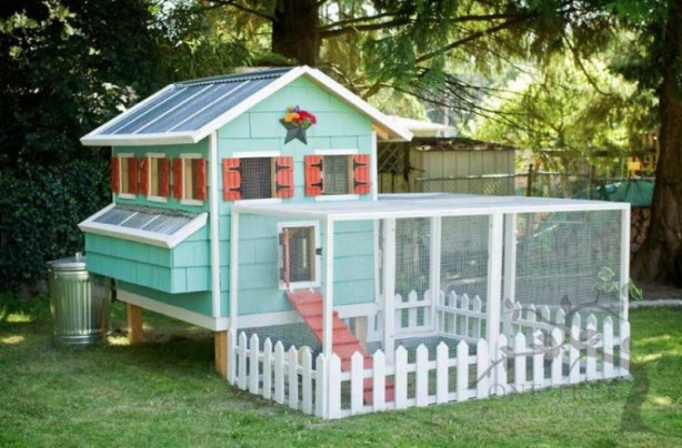 Foto - Bu kümesler görenleri hayrete düşürüyor