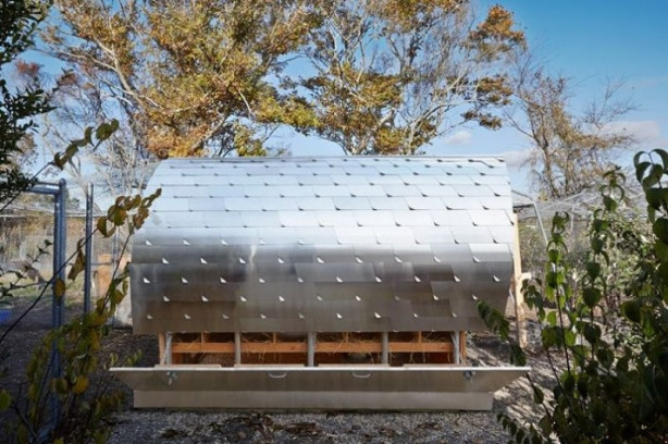 Foto - Bu kümesler görenleri hayrete düşürüyor