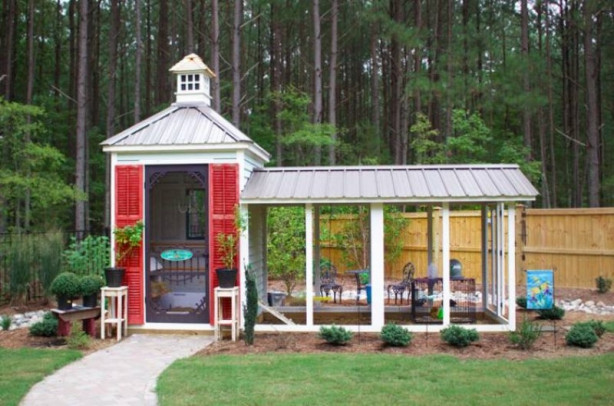 Foto - Bu kümesler görenleri hayrete düşürüyor