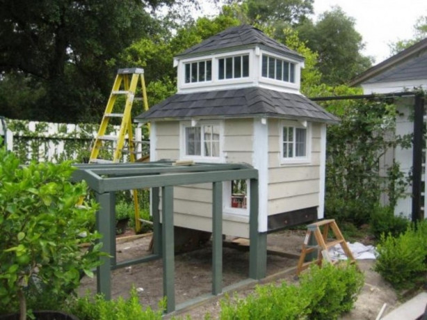 Foto - Bu kümesler görenleri hayrete düşürüyor