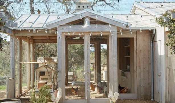 Bu kümesler görenleri hayrete düşürüyor