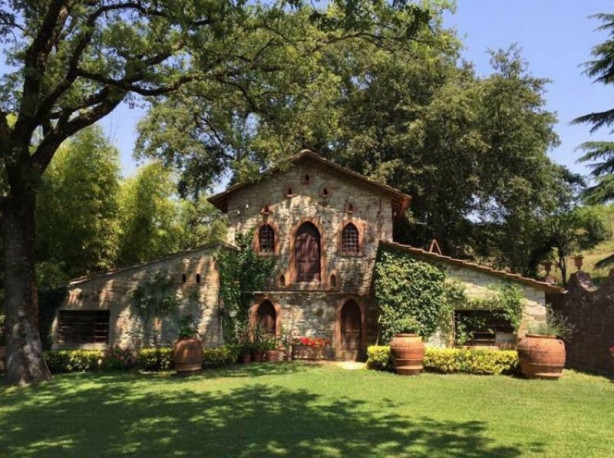 Foto - Bu kümesler görenleri hayrete düşürüyor