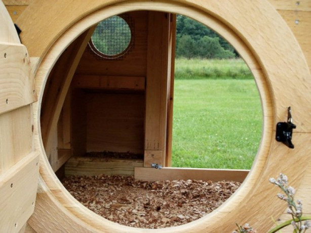 Foto - Bu kümesler görenleri hayrete düşürüyor