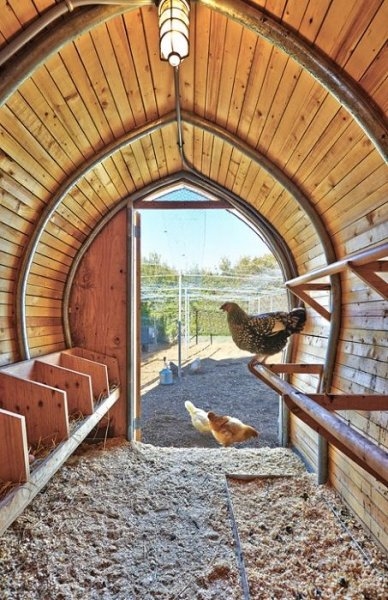 Foto - Bu kümesler görenleri hayrete düşürüyor