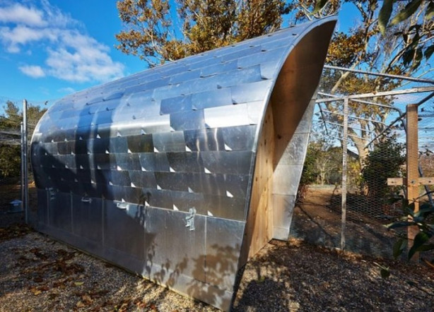 Foto - Bu kümesler görenleri hayrete düşürüyor