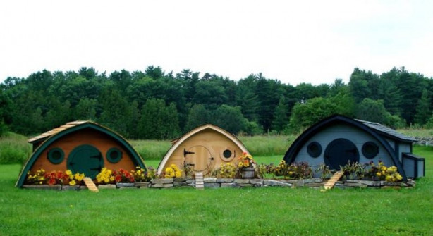 Foto - Bu kümesler görenleri hayrete düşürüyor