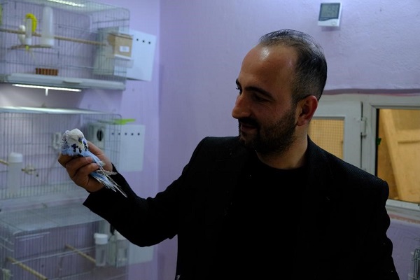 Foto - Bu kuşlar için ev kiraladı