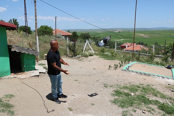 Foto - Bu kuşlara paha biçilemiyor