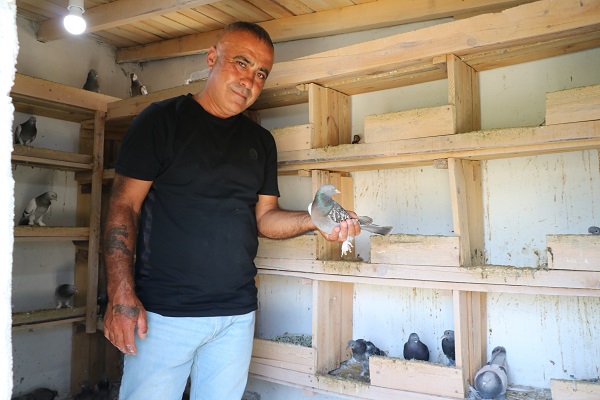 Foto - Bu kuşlara paha biçilemiyor