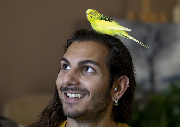 Foto - Bu kuşların her biri enkazdan çıkarıldı