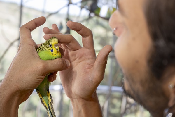 Foto - Bu kuşların her biri enkazdan çıkarıldı