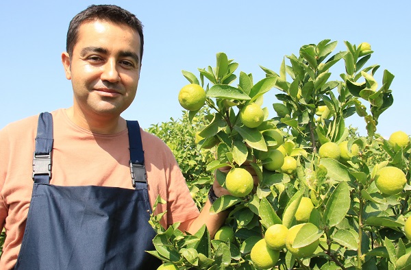 Foto - Bu limonun farkı ne? Diğerleri 3 TL bu limonun kilosu 40 TL