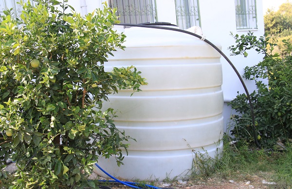 Foto - Bu limonun farkı ne? Diğerleri 3 TL bu limonun kilosu 40 TL