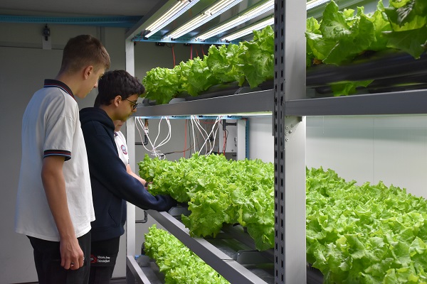 Foto - Bu lisede öğrenciler topraksız tarım yapıyor! 