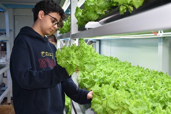 Foto - Bu lisede öğrenciler topraksız tarım yapıyor! 