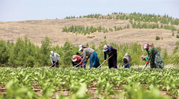 Foto - Bu listede olanlara sokağa çıkma kısıtlaması yok! İşte muaf olan kişiler