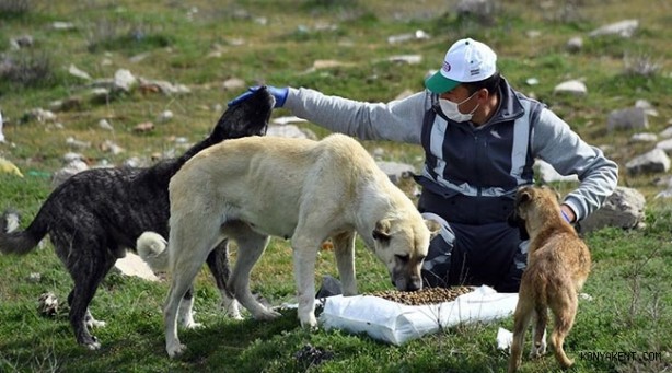 Foto - Bu listede olanlara sokağa çıkma kısıtlaması yok! İşte muaf olan kişiler