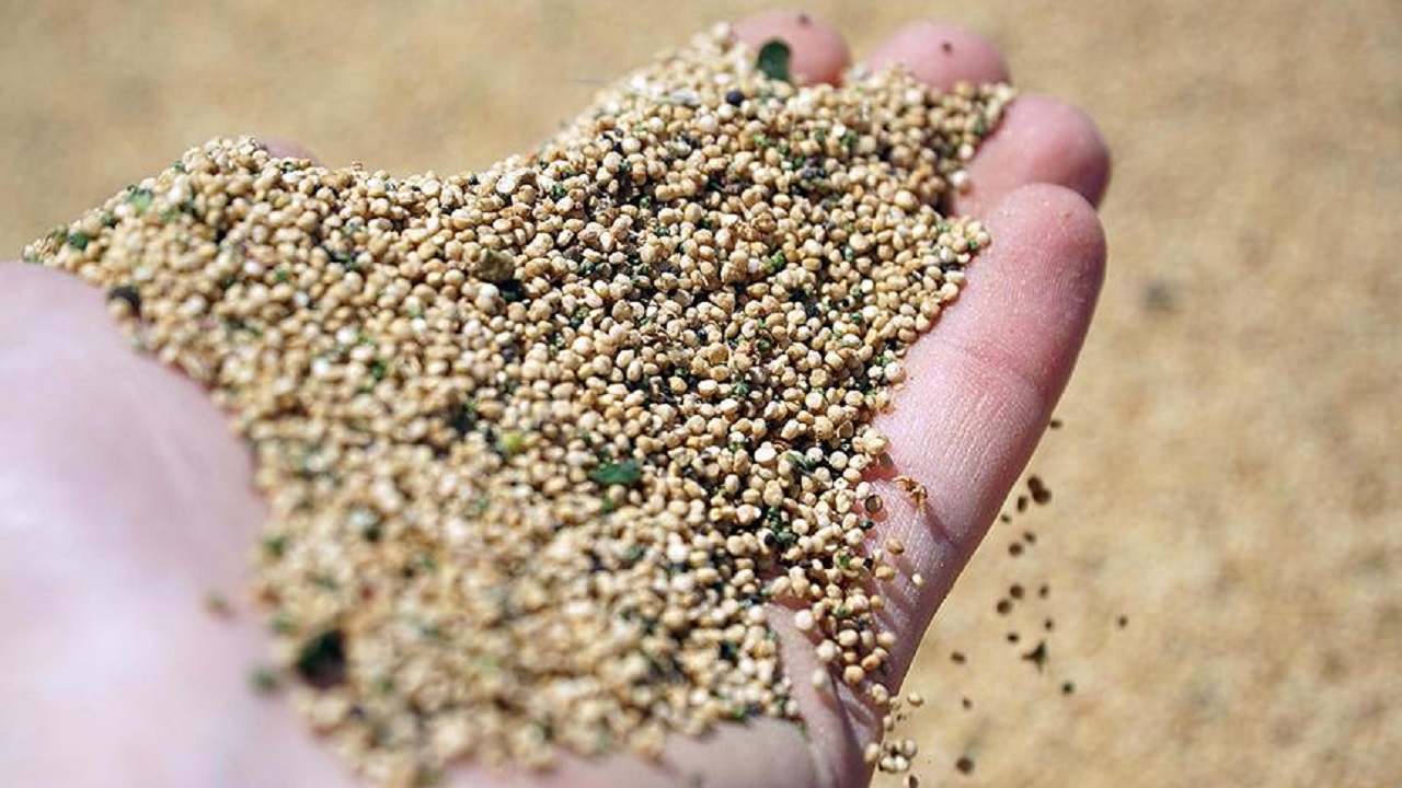 Foto - Bu listeyi mutlaka not alın! Mutluluğun sırrı tabağınızdan geçiyor 