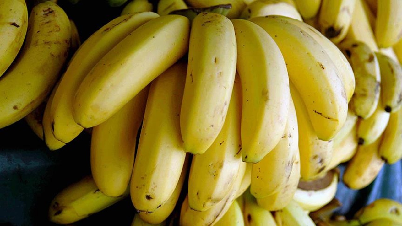 Foto - Bu listeyi mutlaka not alın! Mutluluğun sırrı tabağınızdan geçiyor 