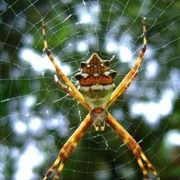 Foto - Bu maddeleri bulursanız zengin olursunuz! Dünyanın en değerlileri...
