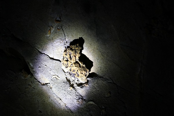 Foto - Bu mağara yeni keşiflerin kapısını aralıyor