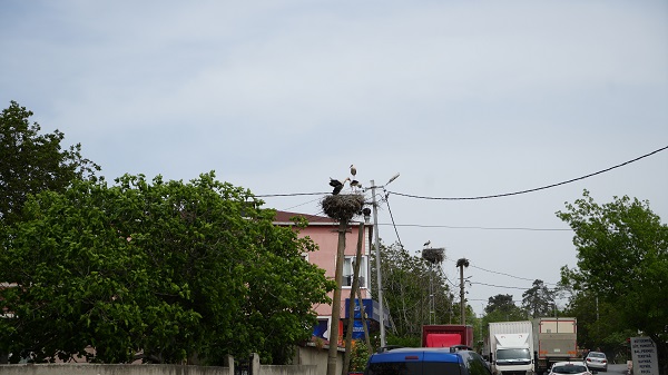 Bu mahalleden geçenler gözlerine inanamıyor!