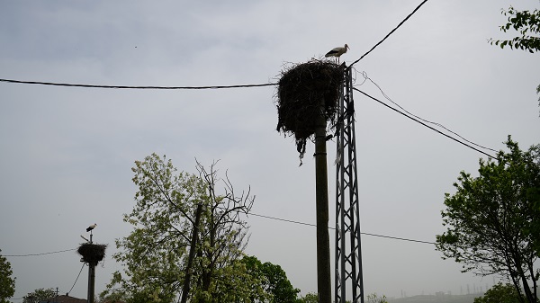 Foto - Bu mahalleden geçenler gözlerine inanamıyor!