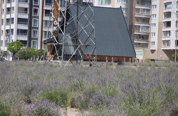 Foto - Bu mahalleye giren kokuya hayran kalıyor! 